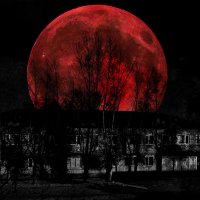 RED MOON :: Алексей Фотограф Михайловка