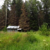 Здесь живут вполне счастливые люди :: Андрей Лукьянов