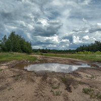 После дождя :: Эдуард Пиолий