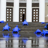 Миграция синих черепашек) :: Геннадий Катышев