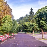Парк во Львове :: Богдан Петренко