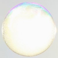 мыльный пузырь -24С :: Андрей Соловьёв