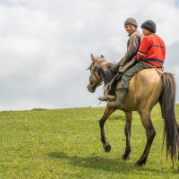 Kyrgyz horsemen :: Дмитрий Карышев