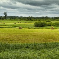 Середина лета :: Борис Бусыгин