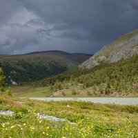 Перед дождем :: Валентина Кобзева