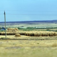 лошадкам на зиму :: Анка Мотоциклетка