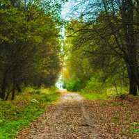 Осенняя дорога :: Galya Voron