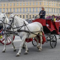 эй, залетные! :: Наталья Василькова