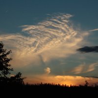 Чёрное и белое. :: Николай Масляев