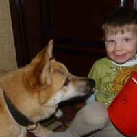 Мальчик и собака :: vovam3999 