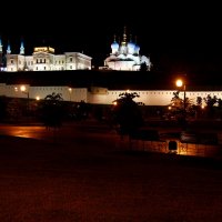 Вид на Кремль с Дворцовой площади :: Наталья Серегина
