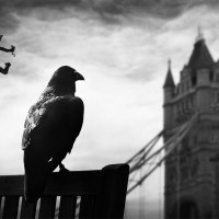 Tower of London... :: Eddi Gershengoren 