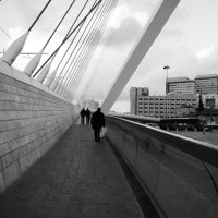 Пешеходы на Струнном мосту :: Алла Шапошникова