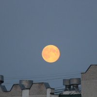 Луна над крышей. :: Борис Митрохин