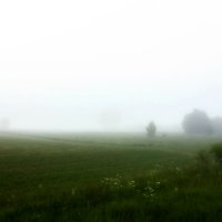 Туман в поле :: Александр 