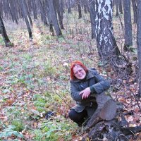 Осень в лесу :: Татьяна Овчинникова