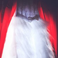 Платье невесты :: Сергей Белявцев