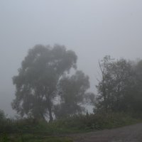 В утреннем тумане :: Татьяна Крэчун