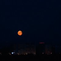 Большая луна :: Николай Ефремов