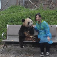волонтер панды :: chinaguide Ся