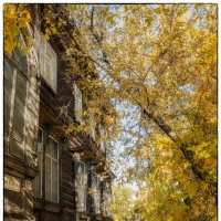 Осень на улице Короленко :: Роман Рыбальченко