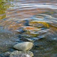 Живая вода :: Наталья 