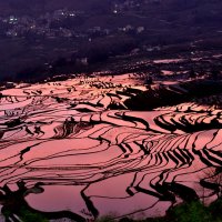 Рисовые террасы Юаньян :: chinaguide Ся