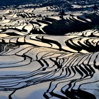 Рисовые террасы Юаньян :: chinaguide Ся