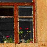 The window in the wall. :: krivitskiy Кривицкий