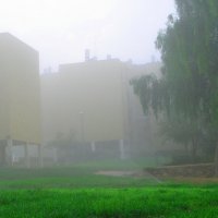 31. туман :: Mordechai Novenkii