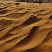 Пески Сахары :: Роберт Гресь