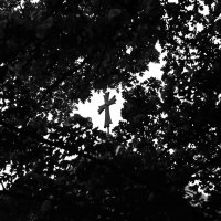 крест в деревьях :: Tengiz Dvalishvili 