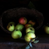 Яблоки в тёмной бане :: Нина Штейнбреннер