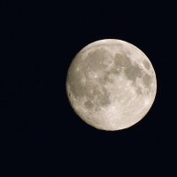 Луна – такая близкая и такая загадочная... :: Олег Меркулов