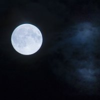 Луна над Хабаровском. :: Виктор Твердун