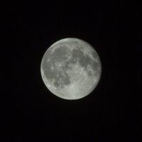 Луна :: Николай Сухоруков