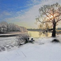 Дерево в лучах Солнца :: Евгений Дубовцев