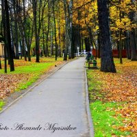 Осенний парк :: Александр 