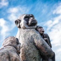 скульптура обезьян :: Мария Данилейчук