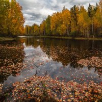 Осень. На таёжном озере. :: Георгий Кулаковский