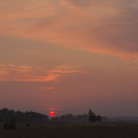 Розовый закат :: Елена Ахромеева