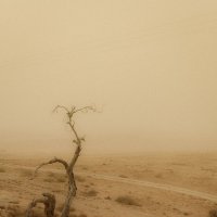 Негев, песчаная буря приближается :: Валерий Цингауз