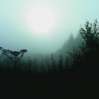 Утреннее солнце в тумане :: Николай Туркин 