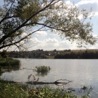 Река Москва в Подмосковном Лыткарино :: Ольга Кривых