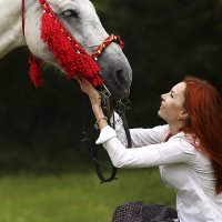 Лошади-это моя страсть :: Юлия Иванова