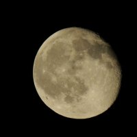 Луна :: Елена Глинская