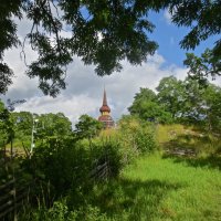 в парке Скансен :: Елена 