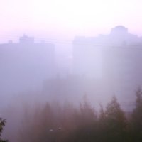 Сиреневый туман :: Игорь Свет