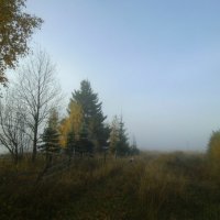 Прогулка в утреннем тумане мимо старого кладбища :: Николай Туркин 