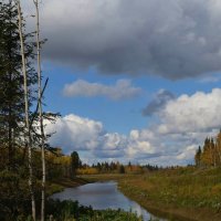 Осенние прогулки :: Вера Андреева